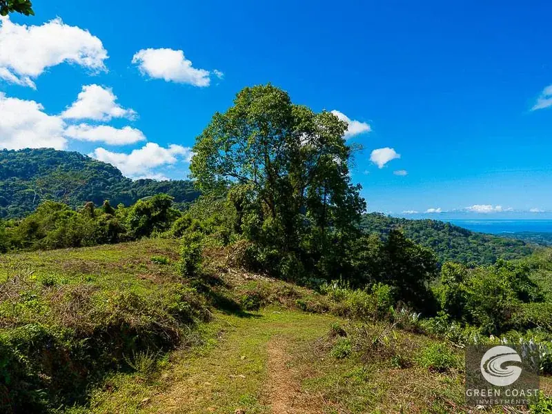 101-Acre Uvita Ocean View Mountain Estate | Green Coast Investments — view 26, Uvita, Osa, Costa Rica