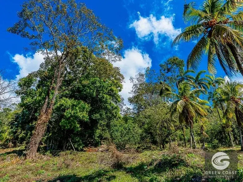 101-Acre Uvita Ocean View Mountain Estate | Green Coast Investments — view 28, Uvita, Osa, Costa Rica