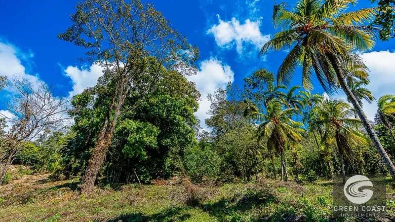 101-Acre Uvita Ocean View Mountain Estate | Green Coast Investments — view 62, Uvita, Osa, Costa Rica
