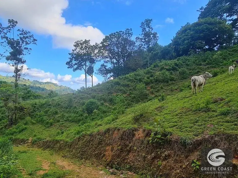 Green Coast Investments: 315-Acre Haven with Waterfalls, Ocean Views & Building Sites in Hatillo — view 8, Hatillo, Dominical, Costa Rica