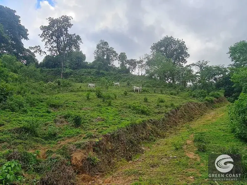 Green Coast Investments: 315-Acre Haven with Waterfalls, Ocean Views & Building Sites in Hatillo — view 9, Hatillo, Dominical, Costa Rica