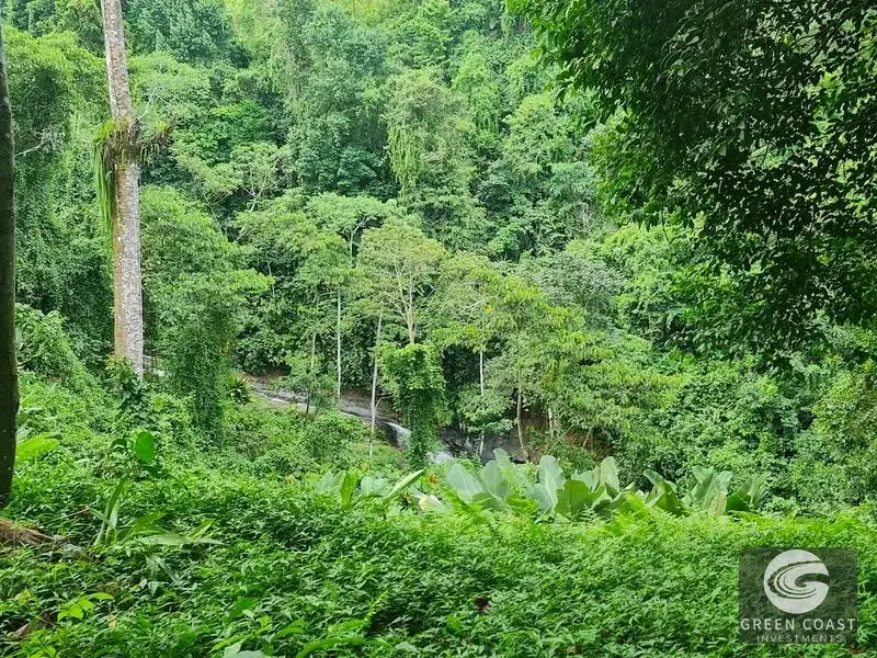 Green Coast Investments: 315-Acre Haven with Waterfalls, Ocean Views & Building Sites in Hatillo — view 16, Hatillo, Dominical, Costa Rica