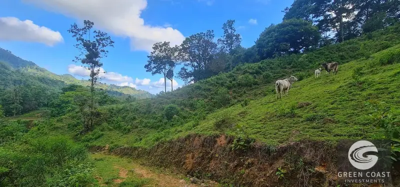 Green Coast Investments: 315-Acre Haven with Waterfalls, Ocean Views & Building Sites in Hatillo — view 31, Hatillo, Dominical, Costa Rica