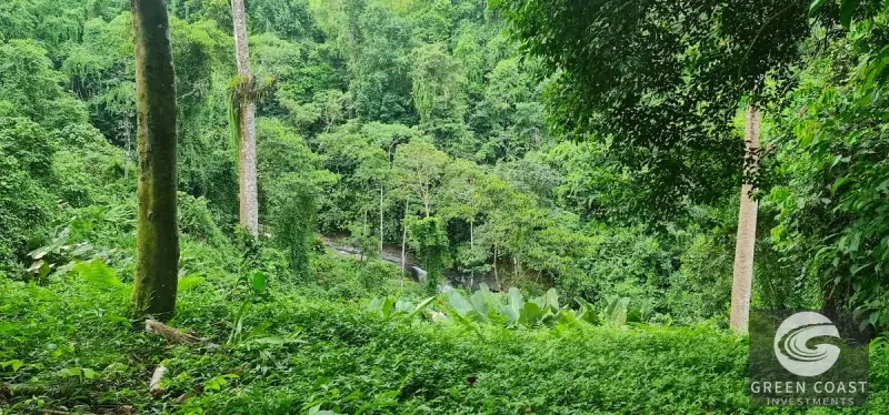 Green Coast Investments: 315-Acre Haven with Waterfalls, Ocean Views & Building Sites in Hatillo — view 39, Hatillo, Dominical, Costa Rica