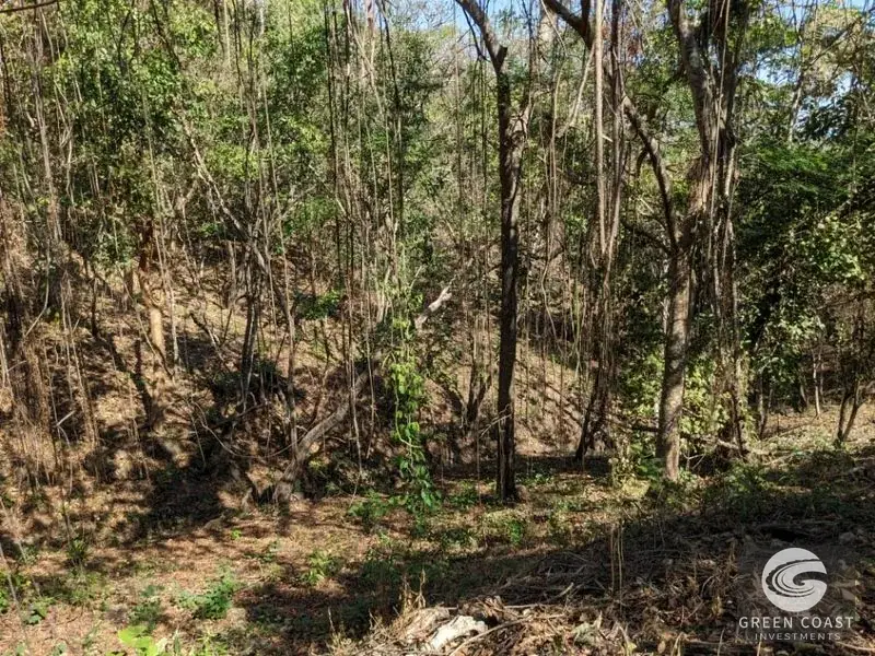 Prime Playa Blanca Ocean View Land: Titled Coastal Acreage Walkable to White Sand Beach — view 15, Playa Blanca, Costa Rica