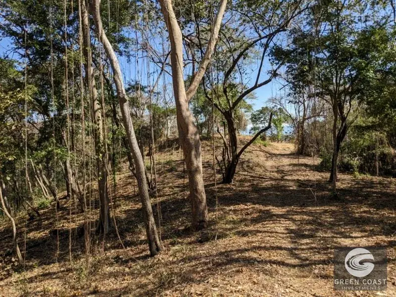 Prime Playa Blanca Ocean View Land: Titled Coastal Acreage Walkable to White Sand Beach — view 20, Playa Blanca, Costa Rica