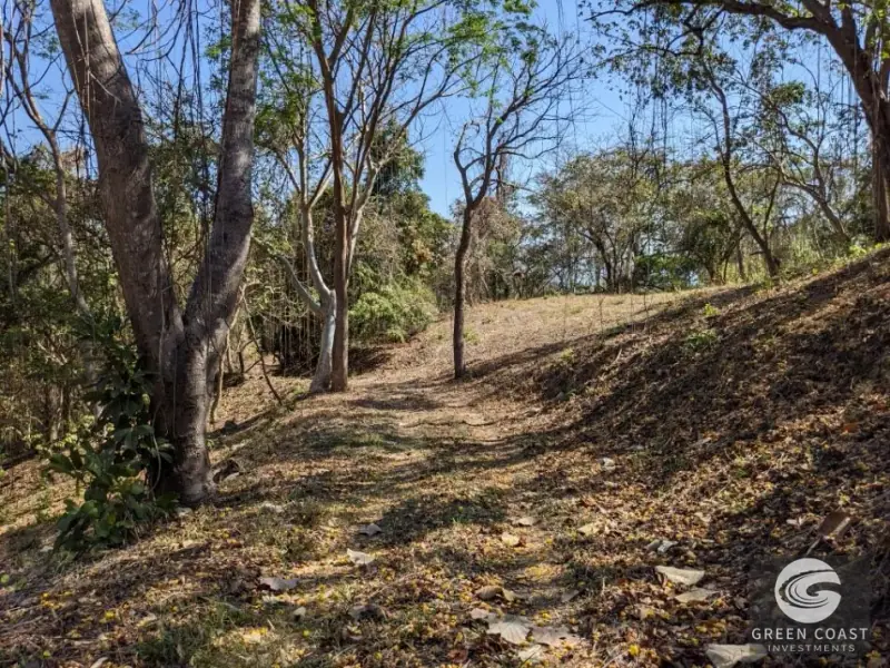 Prime Playa Blanca Ocean View Land: Titled Coastal Acreage Walkable to White Sand Beach — view 39, Playa Blanca, Costa Rica
