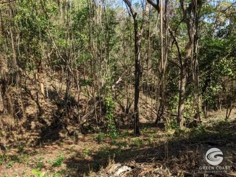 Prime Playa Blanca Ocean View Land: Titled Coastal Acreage Walkable to White Sand Beach — view 49, Playa Blanca, Costa Rica