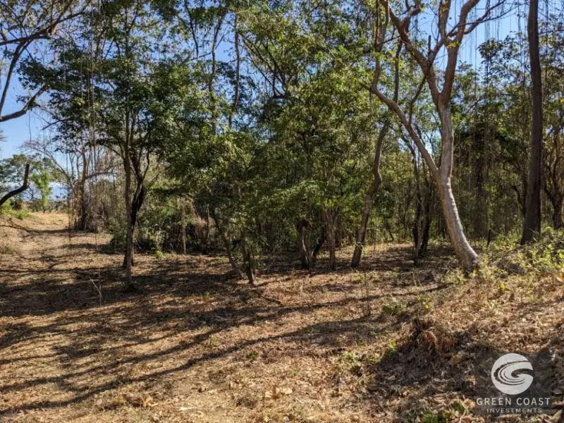 Prime Playa Blanca Ocean View Land: Titled Coastal Acreage Walkable to White Sand Beach — view 53, Playa Blanca, Costa Rica