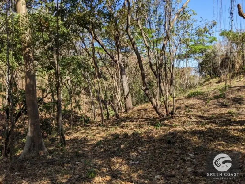 Prime Playa Blanca Ocean View Land: Titled Coastal Acreage Walkable to White Sand Beach — view 55, Playa Blanca, Costa Rica