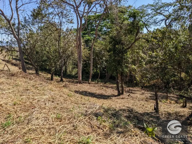 Prime Playa Blanca Ocean View Land: Titled Coastal Acreage Walkable to White Sand Beach — view 58, Playa Blanca, Costa Rica