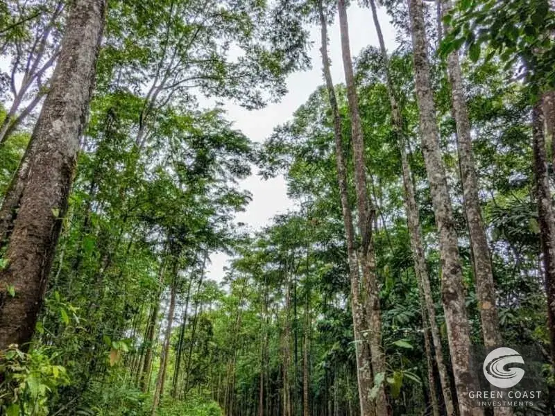 24-Hectare Eco-Estate Near Dominical Beach with Private 80m Waterfall & River Access — view 4, Baru, Perez Zeledon, Costa Rica