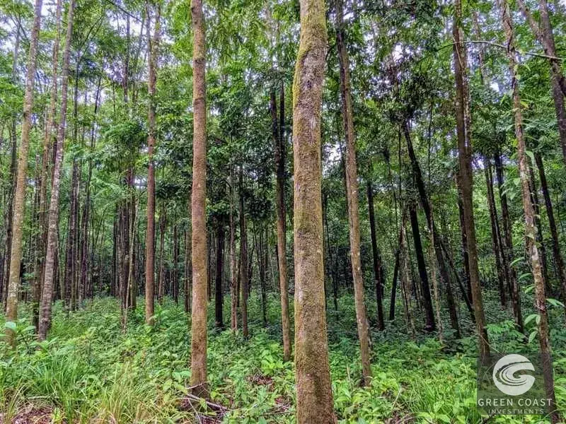 24-Hectare Eco-Estate Near Dominical Beach with Private 80m Waterfall & River Access — view 5, Baru, Perez Zeledon, Costa Rica