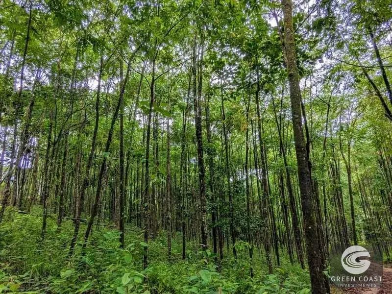 24-Hectare Eco-Estate Near Dominical Beach with Private 80m Waterfall & River Access — view 6, Baru, Perez Zeledon, Costa Rica