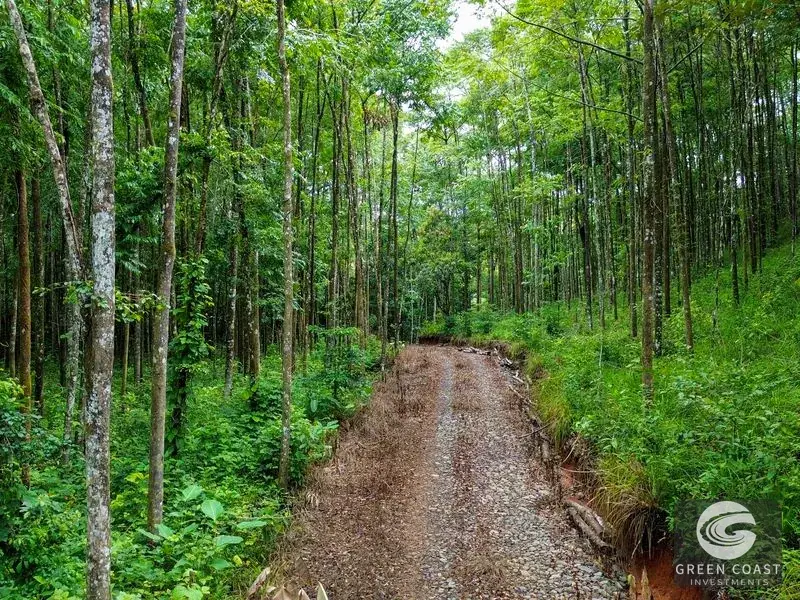 24-Hectare Eco-Estate Near Dominical Beach with Private 80m Waterfall & River Access — view 10, Baru, Perez Zeledon, Costa Rica
