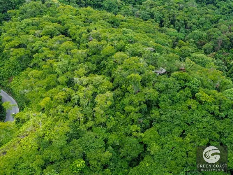 24-Hectare Eco-Estate Near Dominical Beach with Private 80m Waterfall & River Access — view 14, Baru, Perez Zeledon, Costa Rica