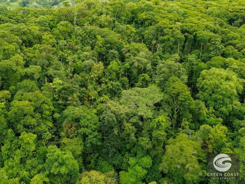 24-Hectare Eco-Estate Near Dominical Beach with Private 80m Waterfall & River Access — view 18, Baru, Perez Zeledon, Costa Rica