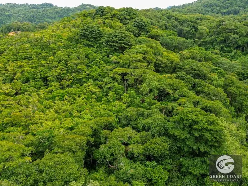 24-Hectare Eco-Estate Near Dominical Beach with Private 80m Waterfall & River Access — view 22, Baru, Perez Zeledon, Costa Rica
