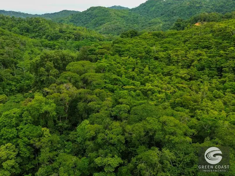 24-Hectare Eco-Estate Near Dominical Beach with Private 80m Waterfall & River Access — view 24, Baru, Perez Zeledon, Costa Rica