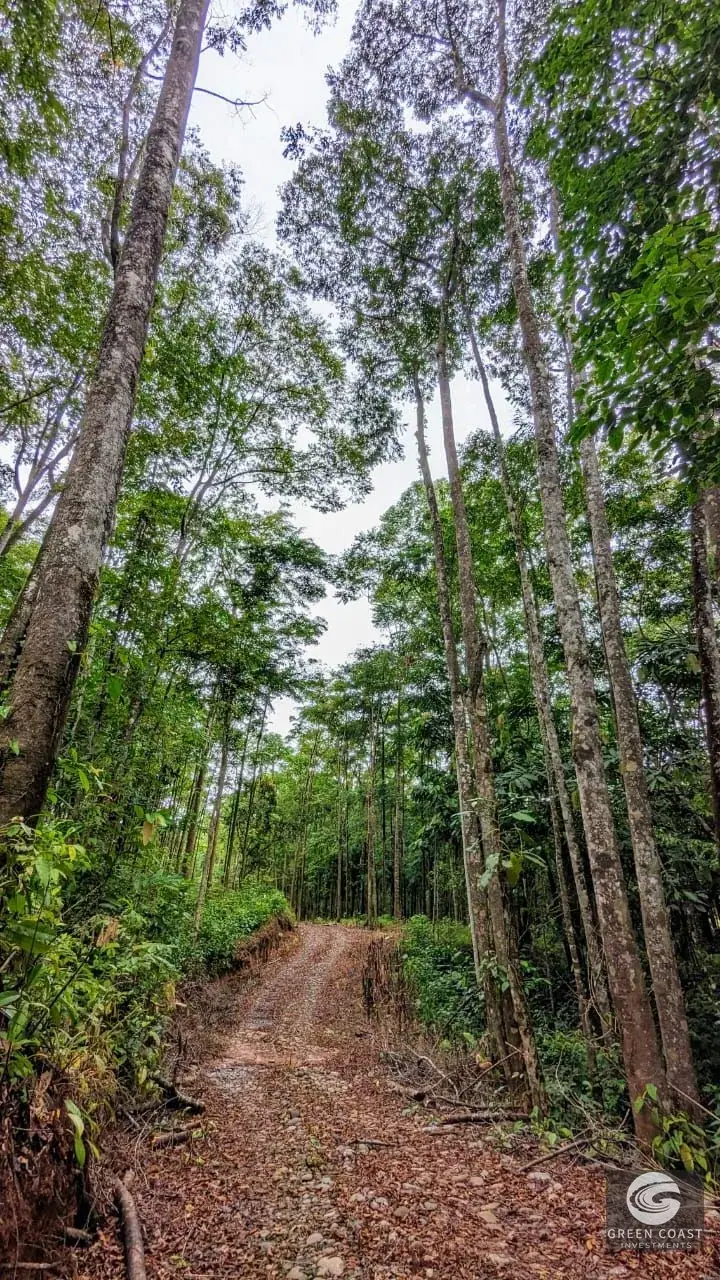 24-Hectare Eco-Estate Near Dominical Beach with Private 80m Waterfall & River Access — view 32, Baru, Perez Zeledon, Costa Rica