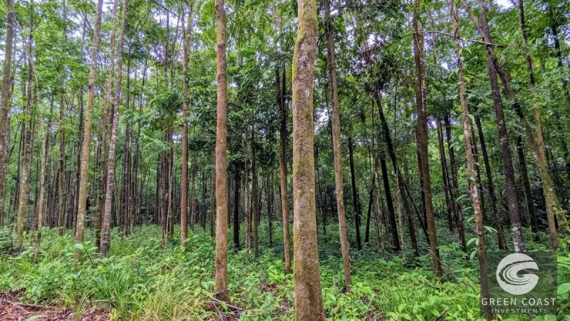24-Hectare Eco-Estate Near Dominical Beach with Private 80m Waterfall & River Access — view 33, Baru, Perez Zeledon, Costa Rica