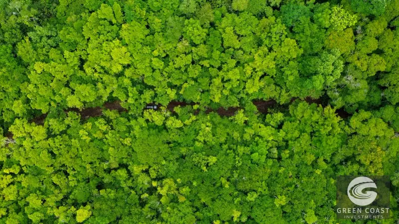 24-Hectare Eco-Estate Near Dominical Beach with Private 80m Waterfall & River Access — view 37, Baru, Perez Zeledon, Costa Rica