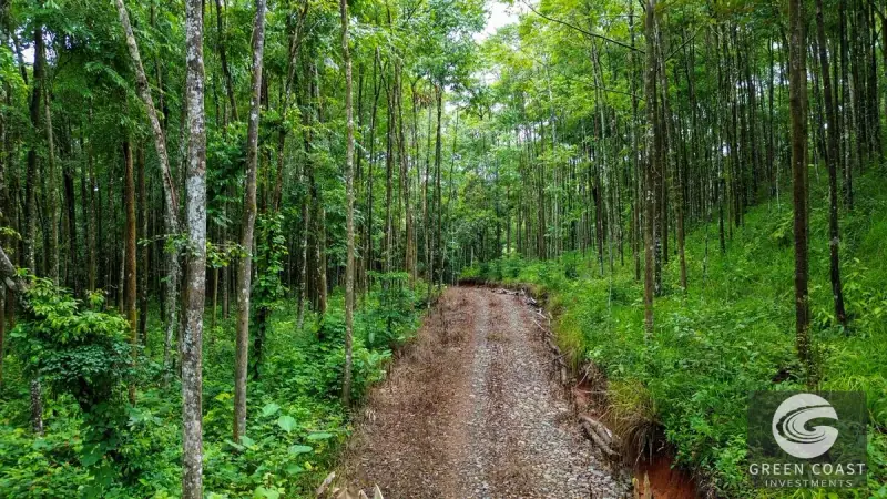 24-Hectare Eco-Estate Near Dominical Beach with Private 80m Waterfall & River Access — view 38, Baru, Perez Zeledon, Costa Rica