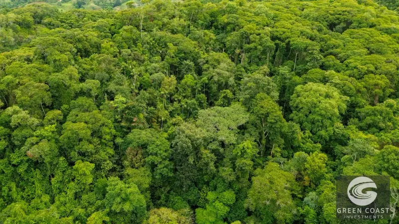 24-Hectare Eco-Estate Near Dominical Beach with Private 80m Waterfall & River Access — view 46, Baru, Perez Zeledon, Costa Rica