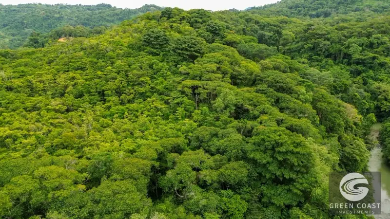 24-Hectare Eco-Estate Near Dominical Beach with Private 80m Waterfall & River Access — view 50, Baru, Perez Zeledon, Costa Rica