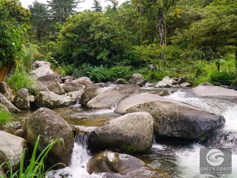 Luxury Rio Talari Riverfront Estate: Furnished Duplexes & Guest House in Perez Zeledon — view 3, Rivas, Perez Zeledon, Costa Rica