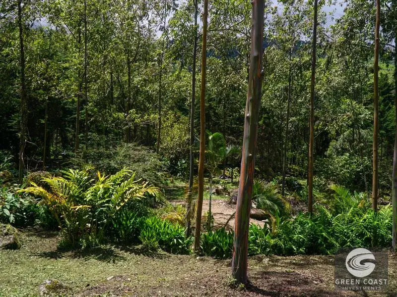 Luxury Rio Talari Riverfront Estate: Furnished Duplexes & Guest House in Perez Zeledon — view 25, Rivas, Perez Zeledon, Costa Rica