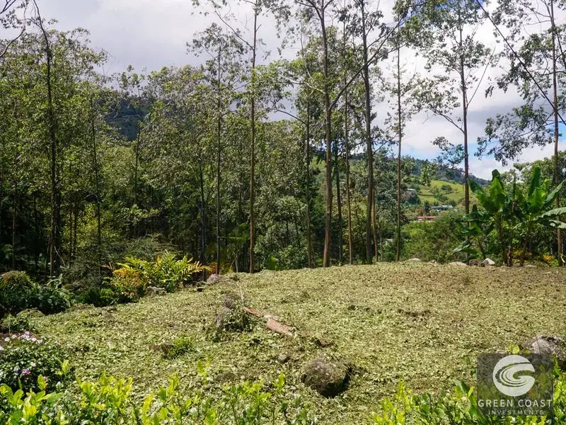 Luxury Rio Talari Riverfront Estate: Furnished Duplexes & Guest House in Perez Zeledon — view 26, Rivas, Perez Zeledon, Costa Rica