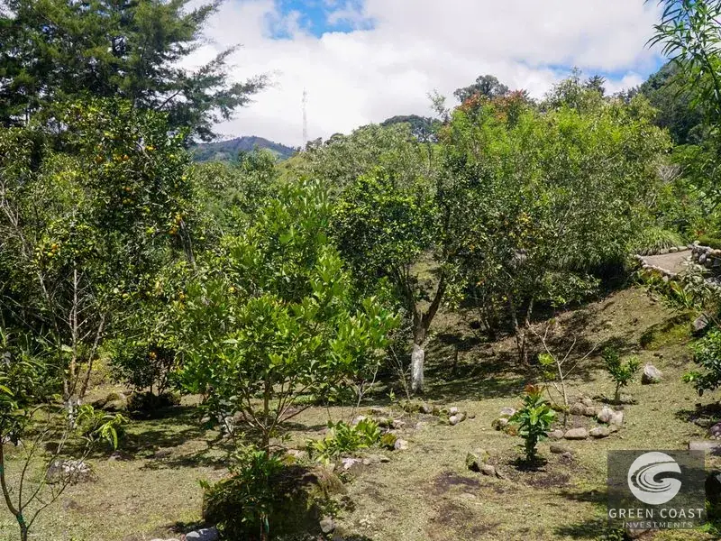 Luxury Rio Talari Riverfront Estate: Furnished Duplexes & Guest House in Perez Zeledon — view 29, Rivas, Perez Zeledon, Costa Rica