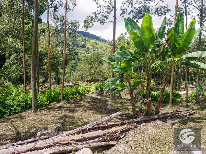 Luxury Rio Talari Riverfront Estate: Furnished Duplexes & Guest House in Perez Zeledon — view 30, Rivas, Perez Zeledon, Costa Rica