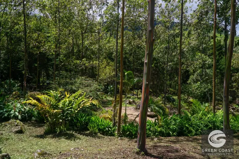 Luxury Rio Talari Riverfront Estate: Furnished Duplexes & Guest House in Perez Zeledon — view 59, Rivas, Perez Zeledon, Costa Rica