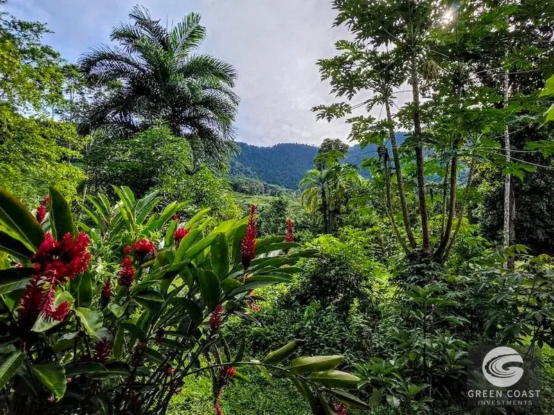 Green Coast Investments: Expansive 86-Hectare Waterfall Estate with Ocean Views in Dominical — view 2, Dominical, Costa Rica