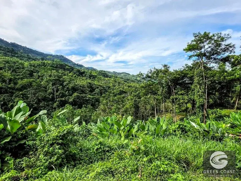 Green Coast Investments: Expansive 86-Hectare Waterfall Estate with Ocean Views in Dominical — view 8, Dominical, Costa Rica