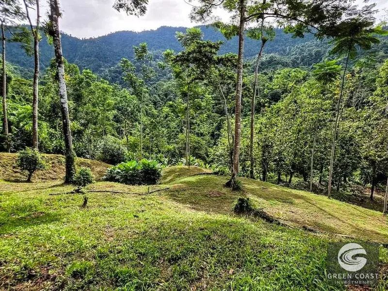 Green Coast Investments: Expansive 86-Hectare Waterfall Estate with Ocean Views in Dominical — view 9, Dominical, Costa Rica