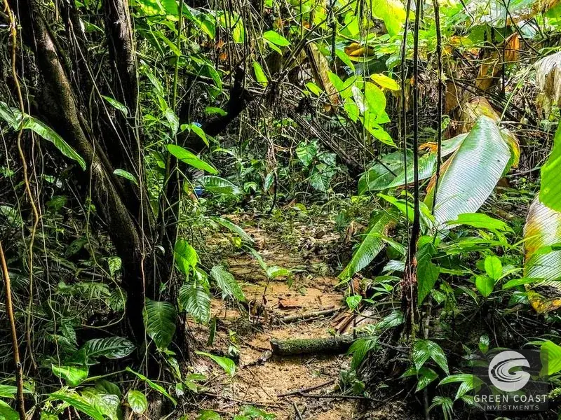 Green Coast Investments: Expansive 86-Hectare Waterfall Estate with Ocean Views in Dominical — view 14, Dominical, Costa Rica