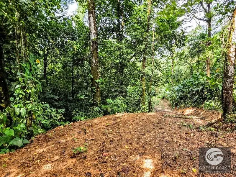 Green Coast Investments: Expansive 86-Hectare Waterfall Estate with Ocean Views in Dominical — view 17, Dominical, Costa Rica