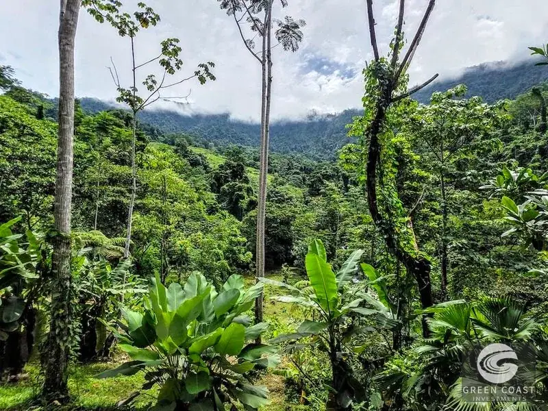 Green Coast Investments: Expansive 86-Hectare Waterfall Estate with Ocean Views in Dominical — view 23, Dominical, Costa Rica