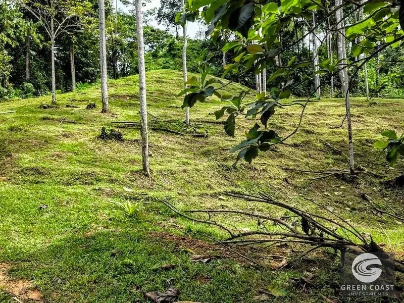 Green Coast Investments: Expansive 86-Hectare Waterfall Estate with Ocean Views in Dominical — view 24, Dominical, Costa Rica
