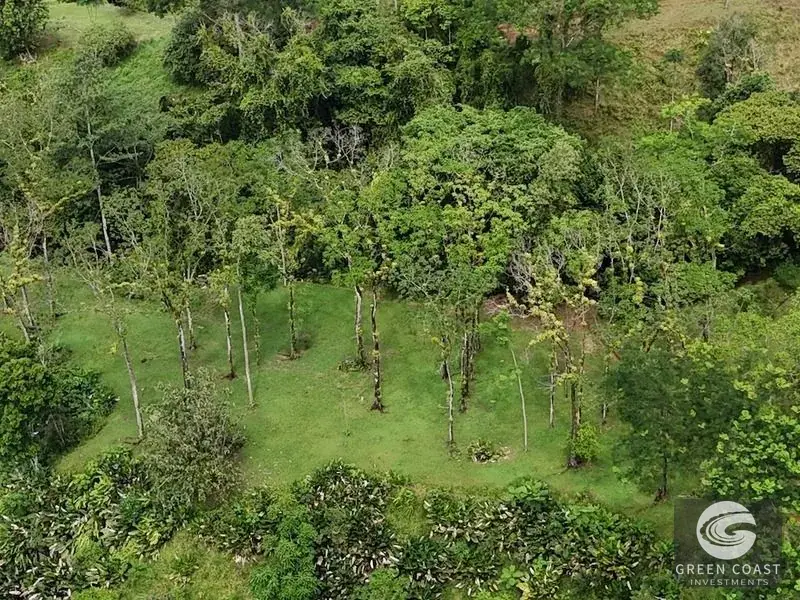 Green Coast Investments: Expansive 86-Hectare Waterfall Estate with Ocean Views in Dominical — view 27, Dominical, Costa Rica