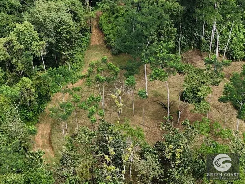 Green Coast Investments: Expansive 86-Hectare Waterfall Estate with Ocean Views in Dominical — view 28, Dominical, Costa Rica