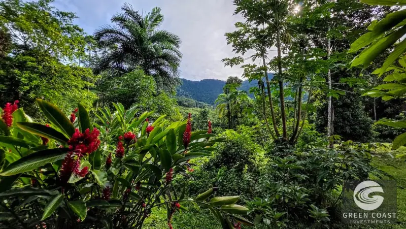 Green Coast Investments: Expansive 86-Hectare Waterfall Estate with Ocean Views in Dominical — view 36, Dominical, Costa Rica