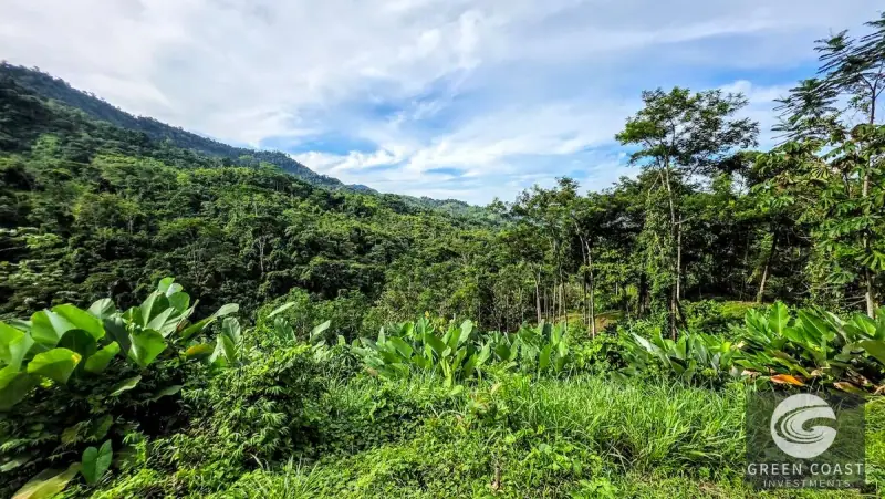 Green Coast Investments: Expansive 86-Hectare Waterfall Estate with Ocean Views in Dominical — view 42, Dominical, Costa Rica