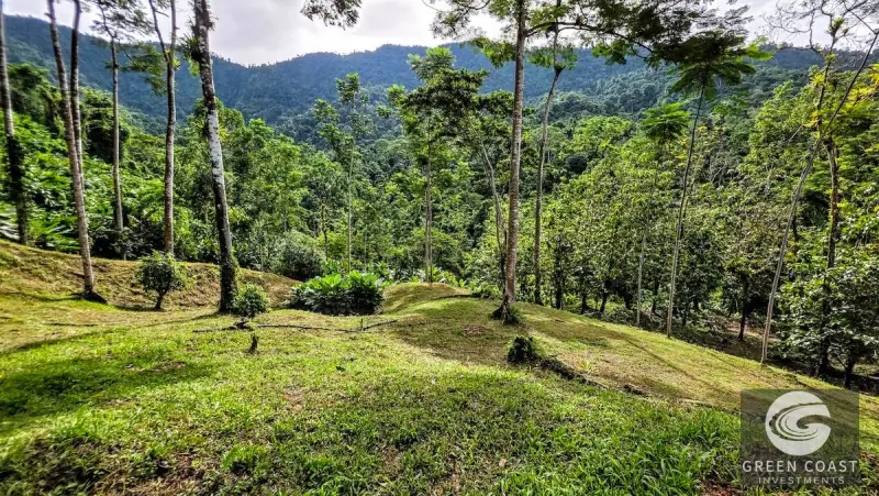 Green Coast Investments: Expansive 86-Hectare Waterfall Estate with Ocean Views in Dominical — view 43, Dominical, Costa Rica