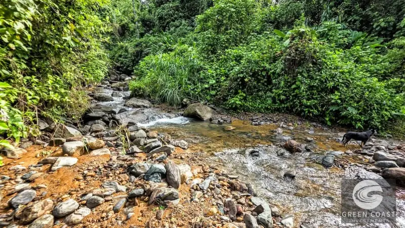 Green Coast Investments: Expansive 86-Hectare Waterfall Estate with Ocean Views in Dominical — view 45, Dominical, Costa Rica