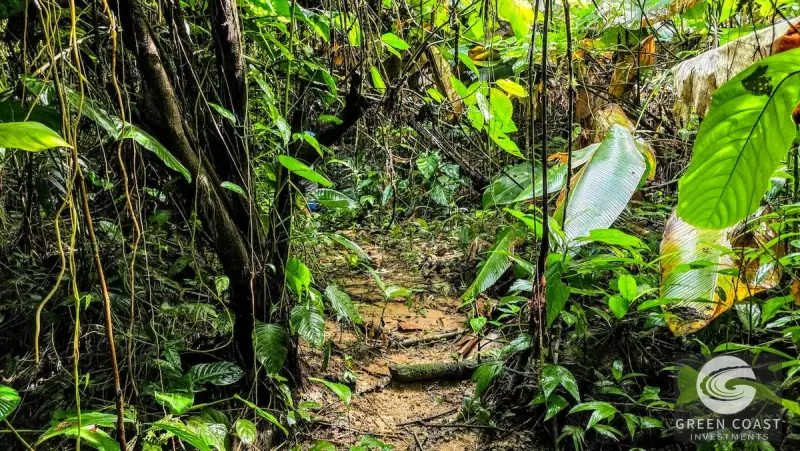 Green Coast Investments: Expansive 86-Hectare Waterfall Estate with Ocean Views in Dominical — view 48, Dominical, Costa Rica