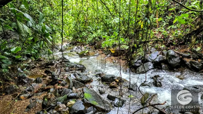 Green Coast Investments: Expansive 86-Hectare Waterfall Estate with Ocean Views in Dominical — view 49, Dominical, Costa Rica